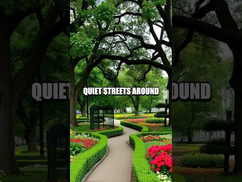 Unlocking the Power of Nature Walks for Mental Clarity