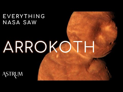 How Arrokoth Shocked NASA Scientists