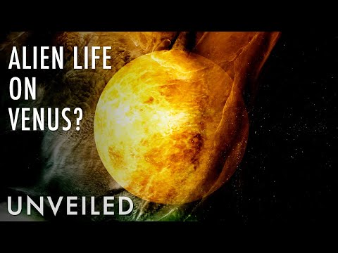 Did Scientists Just Discover Alien Life in the Clouds of Venus? | Unveiled