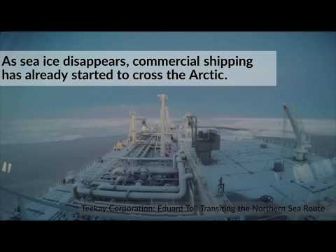 Why we need to ban Heavy Fuel Oil from Arctic Shipping