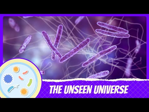 The Unseen Universe: Secret Lives of Microbes