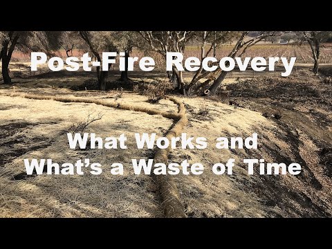 Post Fire Restoration : What works and what’s a waste of time