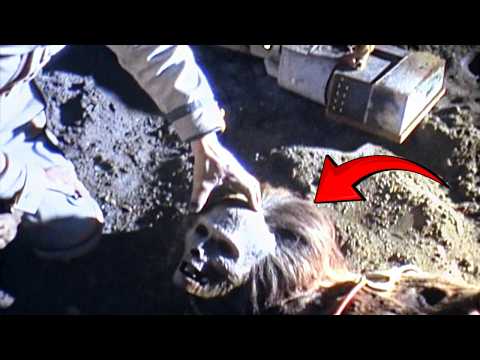 30 Reasons Why NASA Never Went Back to The Moon!