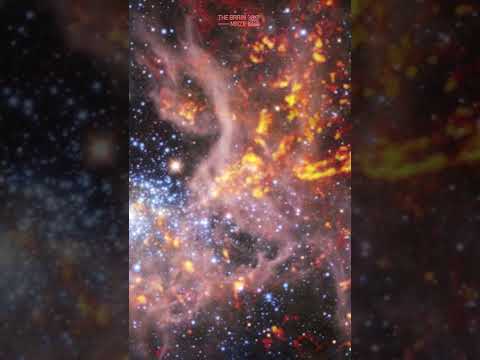 The Secrets of the Tarantula Nebula