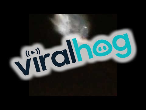 SpaceX Launch Gives California Beautiful Light Show || ViralHog