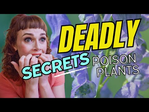 Unveiling The Dark Secrets Of Deadly Plants: Poisonous Knowledge (Part 1)