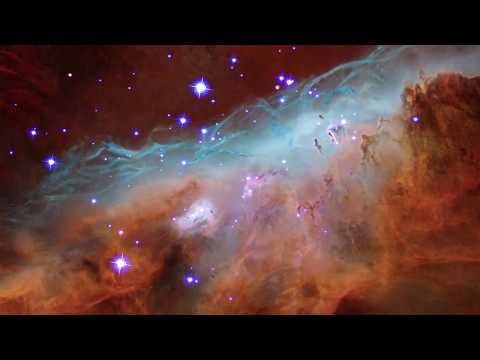 Journey into the Cosmic Reef