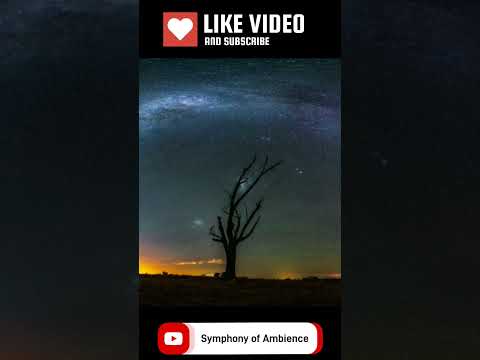 Starry Night Timelapse: A Journey Through the Celestial Sky