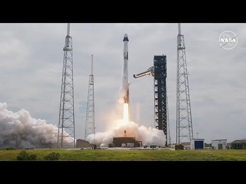 SpaceX launches Crew-9 astronauts to space station - Broadcast