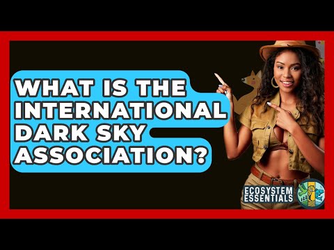 What Is The International Dark Sky Association? - Ecosystem Essentials