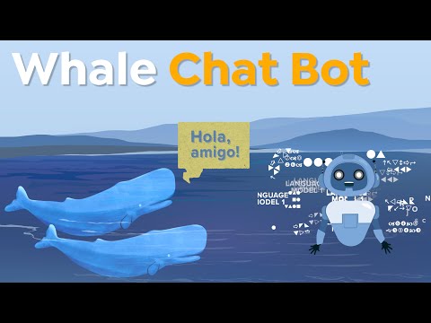 How an AI Like ChatGPT Could Unlock Whale Language