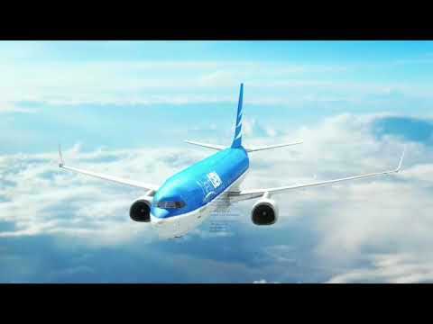 Assessing the Dangerous Trump / Musk Effect on Aviation and Highway Safety