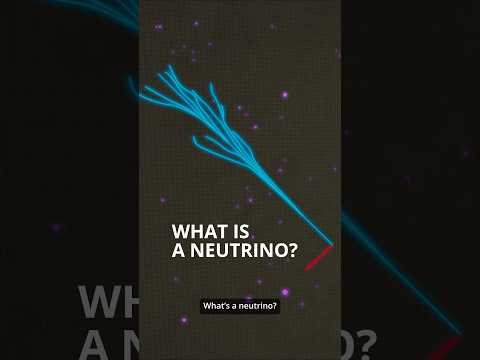 What is a neutrino? #shorts