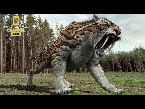 National geographic Documentary - Prehistoric predators - Wildlife Animals