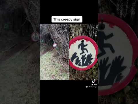 Creepy Things Found In The Woods 🕷