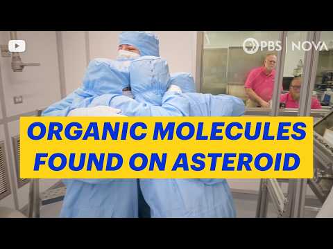Building Blocks of Life Discovered on Distant Asteroid | NOVA | PBS