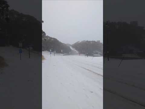 Mt Buller Winter Wonderland. Are you ready for the snow ❄️ #mtbuller #snow