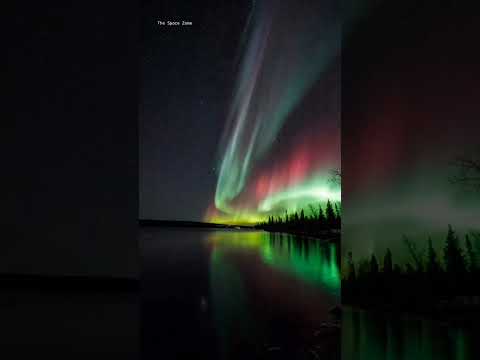 The multicoloured Aurora #shorts