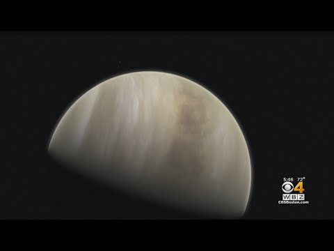 Life On Venus? MIT Astronomers Help Make Surprising Discovery In Planet’s Clouds
