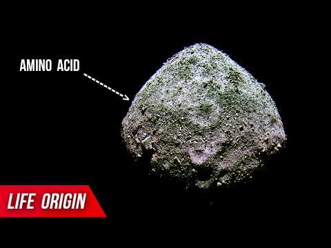 NASA unveils Amino Acid discovery on Asteroid Bennu — Life&#039;s Beginnings Found!