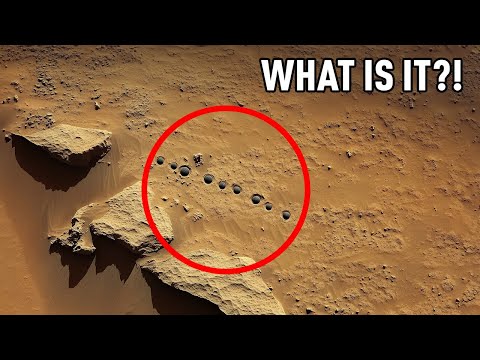 Search for Life on Mars – What Did We Find?