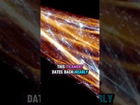 Astronomers Capture Sharpest Image Ever of the Universe&#039;s Cosmic Web #spacetelescope