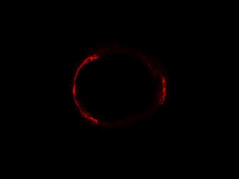 Stunning Einstein Ring! Gravitationally-Lensed Galaxy Snapped