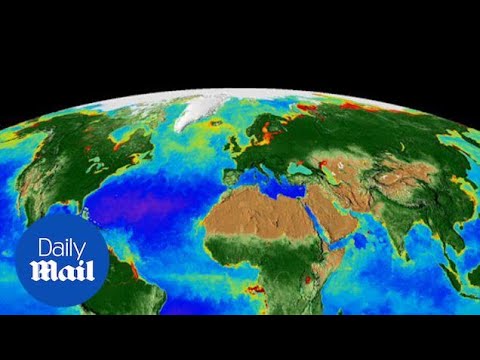 NASA reveals incredible &#039;breathing Earth&#039; animation - Daily Mail