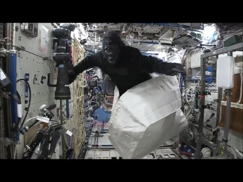 &#039;Gorilla&#039; chases astronaut Tim Peake around International Space Station