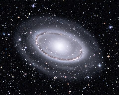 The Hidden Black Holes of Dwarf Galaxies: A Galactic Treasure Trove Unveiled The Hidden Black Holes of Dwarf Galaxies: A Galactic Treasure Trove Unveiled